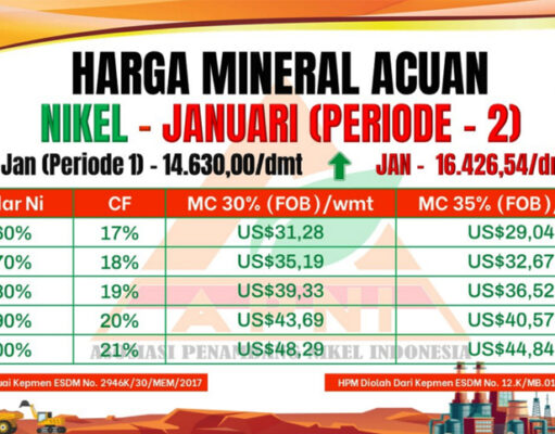 Januari Periode Ke-2 Nikel Melesat Tajam, APNI Catat Kenaikan Signifikan Harga Bijih Nikel