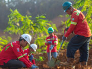 Saham Nikel Kompak Menguat, PAM Mineral dan Vale Terdepan