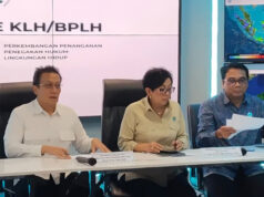 Wamen LH: Pencabutan Izin tidak Otomatis Hapus Tanggung Jawab Perusahaan