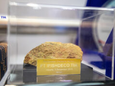 Ifishdeco Siapkan Penopang Baru di Luar Tambang Nikel, Kelapa Jadi Alternatif Bisnis Jangka Panjang