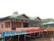 CSR IMIP Tuntaskan Pembangunan Desa Wisata Mangrove Padabaho