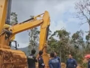 Berantas Tambang Ilegal, Menhut Siapkan Dashboard Terpadu dan Perkuat Pengawasan Kawasan Hutan