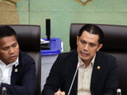 Paradoks Hilirisasi: Smelter Nikel makin Masif, Bahan Baku dalam Negeri Terbatas