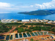 Audit IRMA Dorong Perbaikan Tata Kelola di Harita Nickel