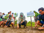 IMIP Tingkatkan Serapan Karbon, Target Reduksi Emisi Morowali