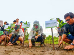 IMIP Tingkatkan Serapan Karbon, Target Reduksi Emisi Morowali