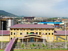 Longsor di Zona Limbah Tambang Tewaskan Satu Orang, Kegiatan PT QMB Dihentikan