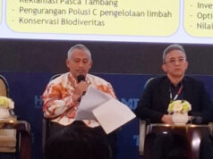 Tumpang-tindih Izin Tambang dan Peti Jadi Tantangan Penegakan Hukum Sektor Pertambangan