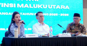 Pemprov Malut dan Komisi XII DPR RI Sepakat Perketat Aturan Lingkungan dan CSR Tambang