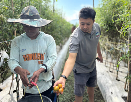 CSR IMIP Perkuat Kemandirian Ekonomi Petani Lokal