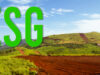 2nd ESG Forum 2026 Jadi Upaya APNI Perkuat Daya Saing Nikel Indonesia