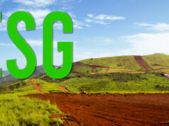 2nd ESG Forum 2026 Jadi Upaya APNI Perkuat Daya Saing Nikel Indonesia