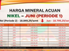 Harga Nikel Juni 2026 P 1 Turun Tipis, HPM Bijih Melemah di Seluruh Kadar