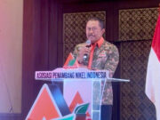 APNI Dorong Implementasi ESG sebagai Legitimasi Industri Pertambangan Indonesia
