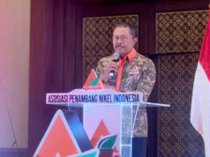 APNI Dorong Implementasi ESG sebagai Legitimasi Industri Pertambangan Indonesia