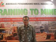 Pemerintah Optimalkan DHE untuk Jaga Ketahanan Ekonomi
