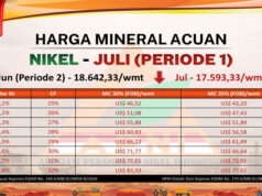 Harga Nikel Turun Lagi, HMA Juli 2026 P1 di Bawah US$17.600/wmt