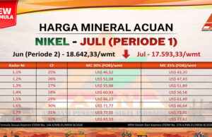 Harga Nikel Turun Lagi, HMA Juli 2026 P1 di Bawah US$17.600/wmt