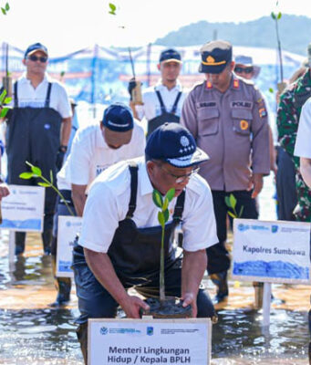 KLH dan Freeport Tanam Bakau di Sumbawa, Dorong Restorasi Pesisir dan Gerakan Tobat Ekologis