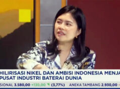 CNGR: Hilirisasi Nikel Indonesia Berpeluang Jadikan RI Hub Baterai Kendaraan Listrik Dunia