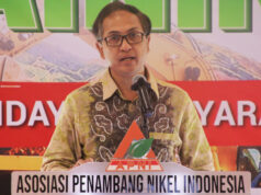 Prof M. Nur Heriawan: Standardisasi KCMI Jadi Kunci Menjaga Kredibilitas Cadangan Nikel Indonesia
