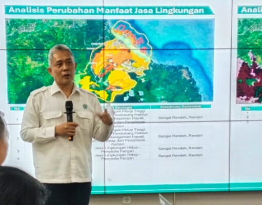KLH Perkuat Amdal Berbasis GIS untuk Cegah Dampak Tambang Nikel terhadap Ekosistem Bakau