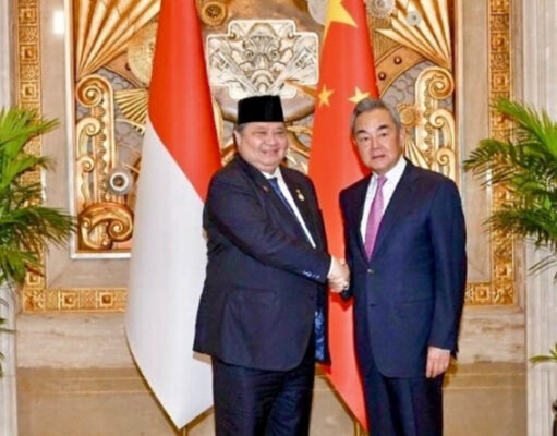 Indonesia Siap Fasilitasi Investasi Hijau dan Pengembangan Ekosistem Baterai Terintegrasi di Morowali