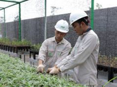 Nurseri Mandiri IMIP Perkuat Konservasi Keanekaragaman Hayati Lokal