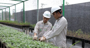 Nurseri Mandiri IMIP Perkuat Konservasi Keanekaragaman Hayati Lokal