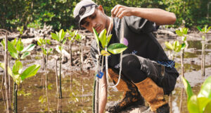 IWIP dan WBN Gandeng Warlok Tanam Kembali Pesisir Maluku Utara