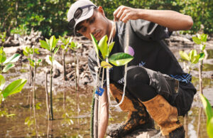 IWIP dan WBN Gandeng Warlok Tanam Kembali Pesisir Maluku Utara