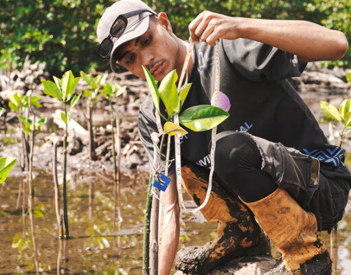 IWIP dan WBN Gandeng Warlok Tanam Kembali Pesisir Maluku Utara