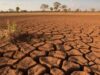 Akibat Gangguan El Nino, Rantai Pasok Nikel dan Tembaga Berpotensi Terancam