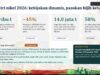 APNI Dorong Dana Ketahanan Cadangan untuk Perkuat Eksplorasi Lanjutan