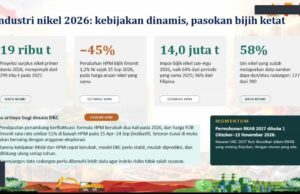 APNI Dorong Dana Ketahanan Cadangan untuk Perkuat Eksplorasi Lanjutan
