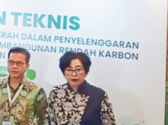 KLH Dorong Daerah Manfaatkan Ekonomi Karbon