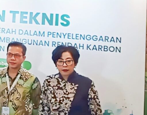 KLH Dorong Daerah Manfaatkan Ekonomi Karbon