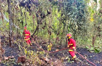 Hadapi Risiko Karhutla, Ceria Corp Siagakan Tim Tanggap Darurat di Sekitar Wilayah Operasional