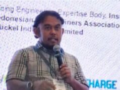 Wisnu Salman: Moratorium Smelter Nikel Perlu Diikuti Pengendalian Produksi Bijih