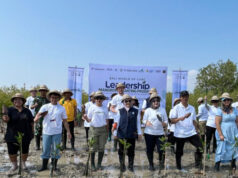 Dari Ruang Konferensi ke Pesisir: Menjaga Bakau, Menghitung Nilai Blue Carbon