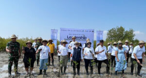 Dari Ruang Konferensi ke Pesisir: Menjaga Bakau, Menghitung Nilai Blue Carbon